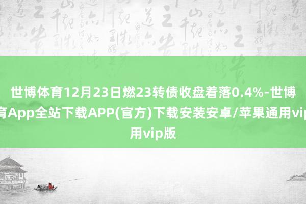 世博体育12月23日燃23转债收盘着落0.4%-世博体育App全站下载APP(官方)下载安装安卓/苹果通用vip版