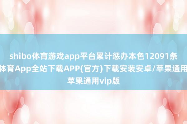 shibo体育游戏app平台累计惩办本色12091条-世博体育App全站下载APP(官方)下载安装安卓/苹果通用vip版